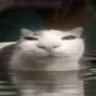 Profilbild von Four Finger Forehead