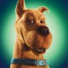 C.C. Rider's profile picture