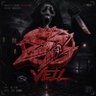 S7 Veil's profile picture