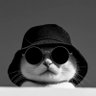 wosa's profile picture
