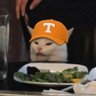 A Vols Fan's profile picture
