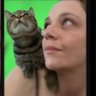 Lacey Boyd profil fotoğrafı