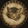 The Sick Kitten 的头像