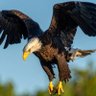 ATBK P•R 🦅's profile picture
