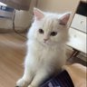 janemia's profile picture
