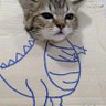 dino cat rawr profil fotoğrafı