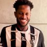 Louca pelo galo profil fotoğrafı