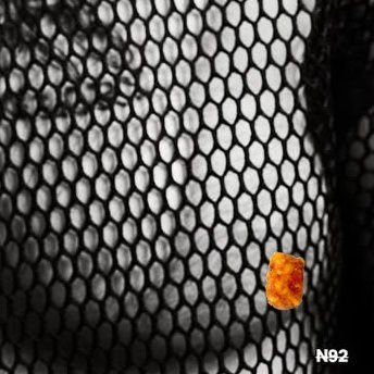 beat_the_bees's profile picture