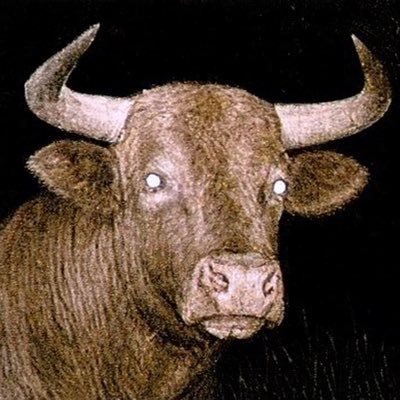 noper's profile picture
