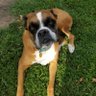 Mama Bella profil fotoğrafı