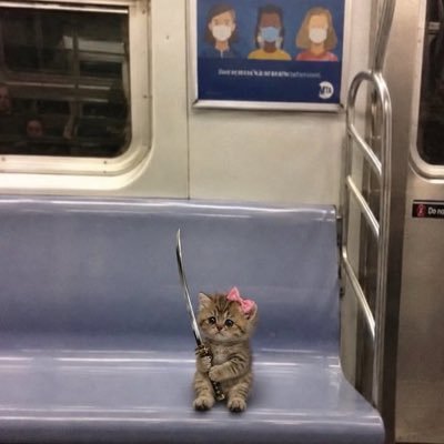 9DJHe3CUFh29674's profile picture