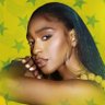 Profilbild von Normani Brasil