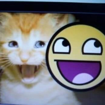 Catatex_69's profile picture