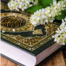 Profilbild von الداعي الى الله سبحانه