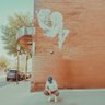Stanley Swanson 's profile picture