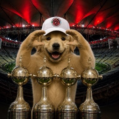 Mengãõ Fodãáâåàäoôõøôhmm's profile picture