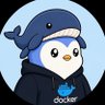 docker 🐳🐧's profile picture