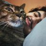 Profilbild von Yan