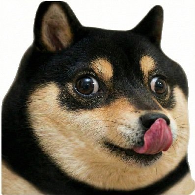 Doge Tipping's profile picture