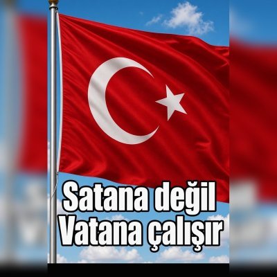 Salim Sencer AYDIN.'s profile picture