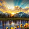وليد يوسف profil fotoğrafı