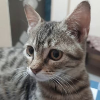 RRP_datta's profile picture