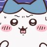 Profilbild von でづでづ🌳🐇❤️🐾