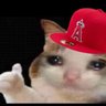 The Angels Baseball Cat 2's profile picture