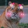 Profilbild von CatzTammy1985