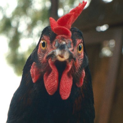 mendori_movie's profile picture