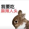 千羽镜 的头像