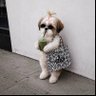 BBMeww's profile picture