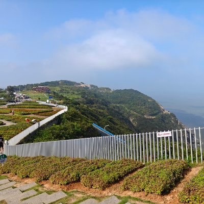 NTR_Goose's profile picture