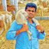 Profilbild von Annamalai-we the leaders