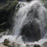 Tonyalı's profile picture