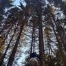 Ginaharper profil fotoğrafı