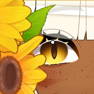 โ๏ธ Sol's profile picture