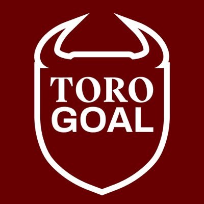 ToroGoal's profile picture
