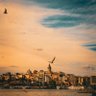 Фото профиля Zeynep zeze