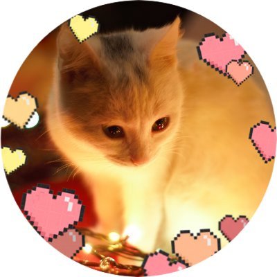 애슷푸랫소's profile picture