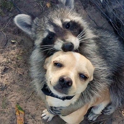 simonmanasseh88's profile picture