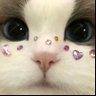 Salma profil fotoğrafı