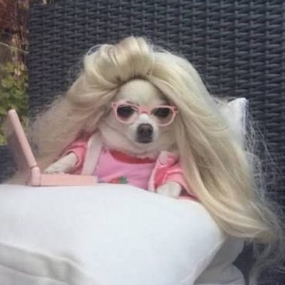 Jas's profile picture