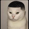 Papito🇦🇷🇸🇦's profile picture