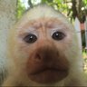 Profilbild von Ej