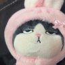 ふく's profile picture