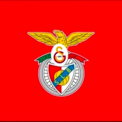BenficaSaray's profile picture