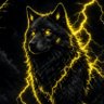 Lone_Wolf_________ 的头像