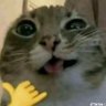 TOTIMARUKAIZOKUW/おむつ's profile picture