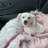 Christine's profile picture